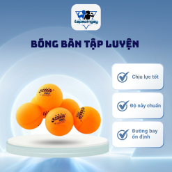 Quả bóng bàn