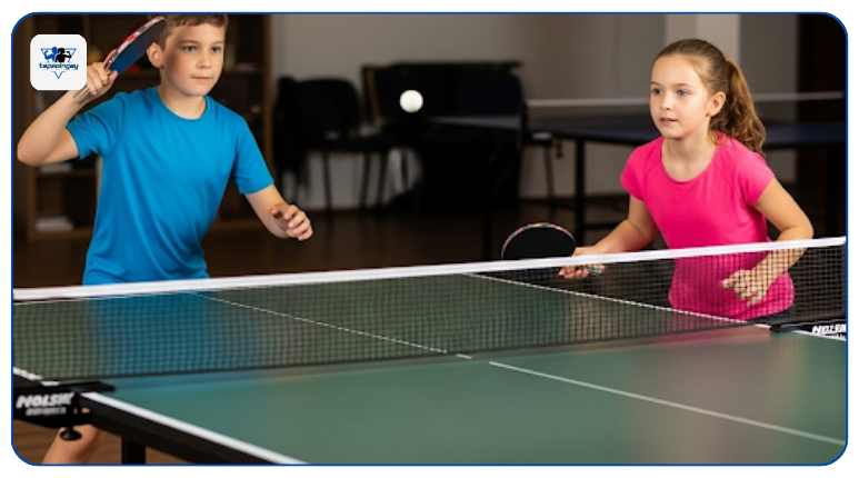 Lưới quây bóng bàn