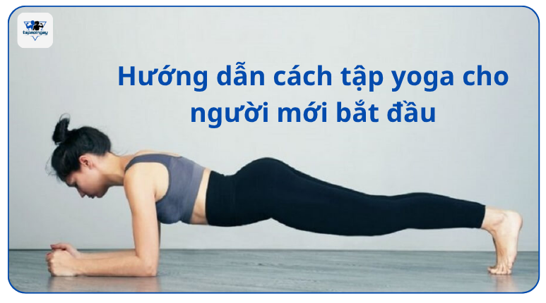 hướng dẫn cách tập yoga cho người mới bắt đầu