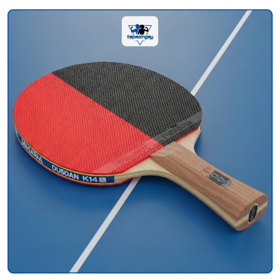 Vợt bóng bàn xịn