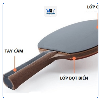 các loại cán vợt bóng bàn