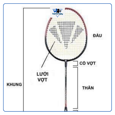 Bạn nên chọn dòng vợt Proace nào?